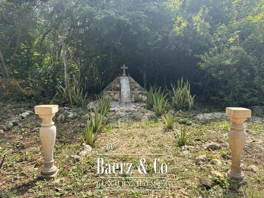 Foto 32 1000w