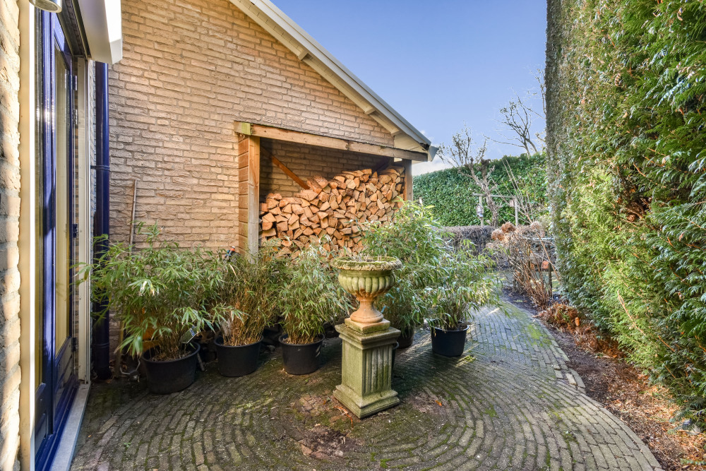 Foto 41 1000w