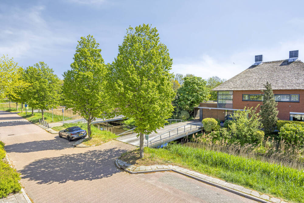 Foto 11 1000w
