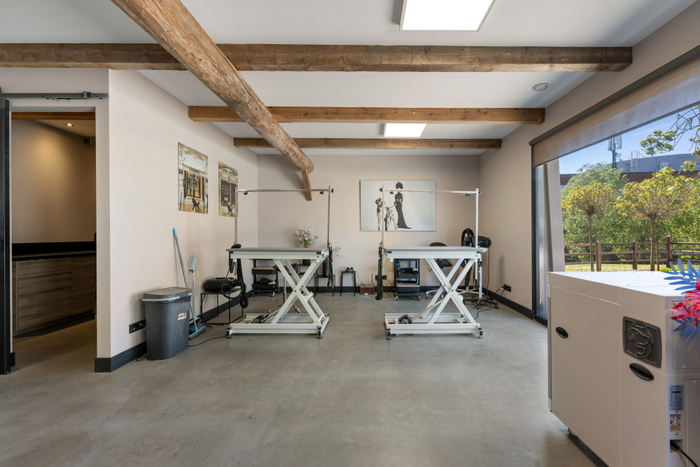 Foto 67 1000w