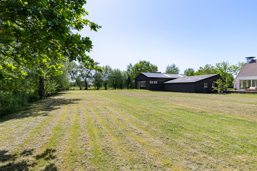 Foto 23 1000w