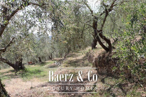 photo 43 Country house for sale 480 m²