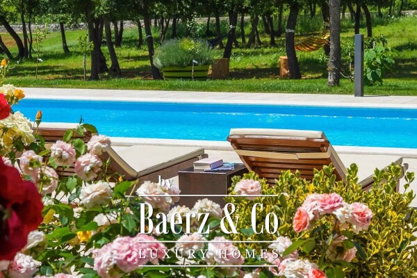 photo 12 Istria, Bale, villa with swimming pool on a 30,000 m2 property in a secluded area