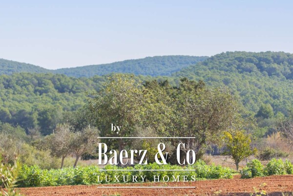 photo 54 Beautiful luxury home in San Mateo, San Mateo