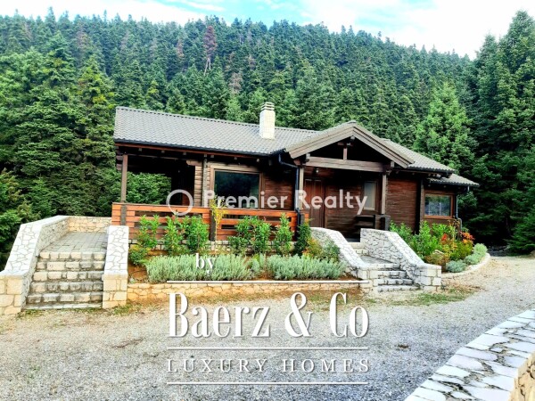 photo 20 950495 - Chalet | Eptalofos, Parnassos, 480 sq.m.