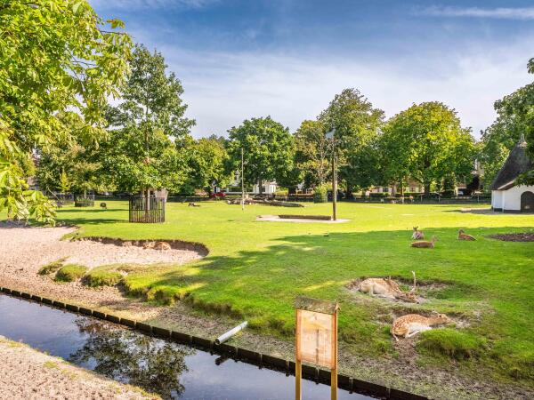 photo 38 Kastanjelaan 4