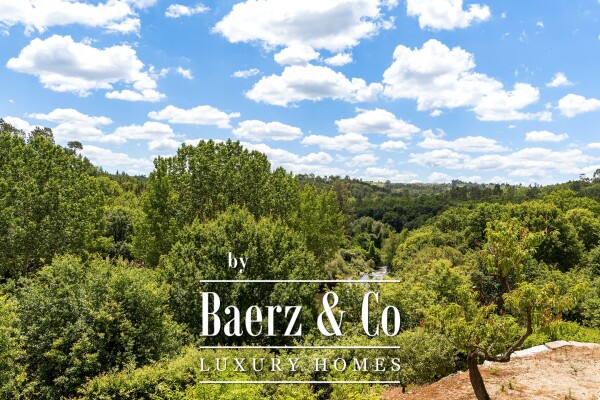 photo 9 Manor house in the Dão wine region