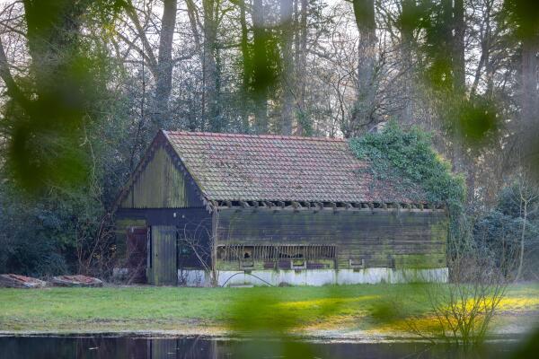 photo 9 Bastinglaan 20 0 ong