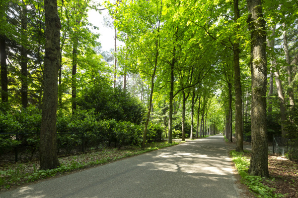 photo 28 Hondsbergselaan 3