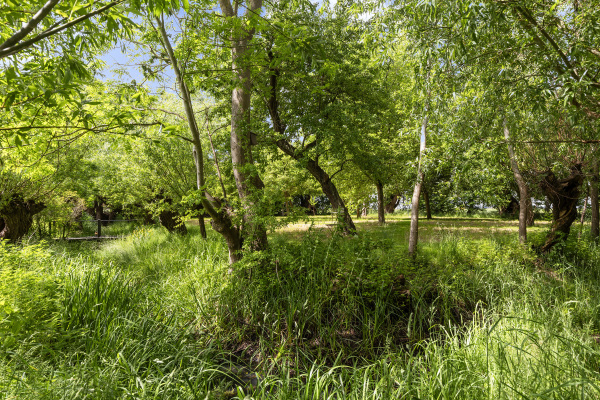 photo 63 Hoofdweg 34