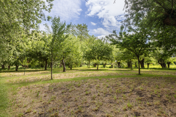 photo 66 Hoofdweg 34