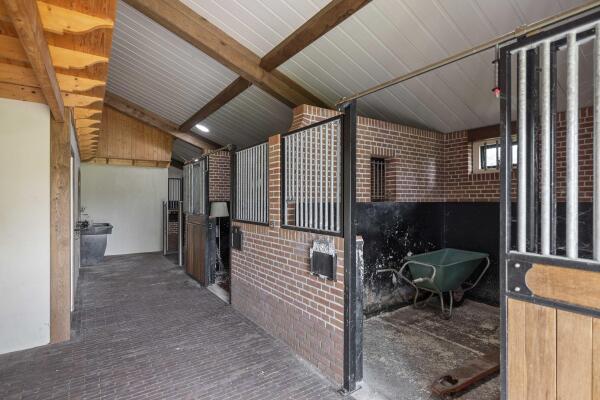 photo 92 Dennendijk 6