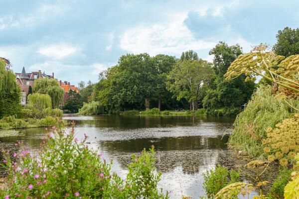 photo 41 Prins Hendriklaan 14 A