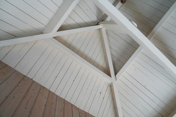 photo 37 Leendertdijk 7