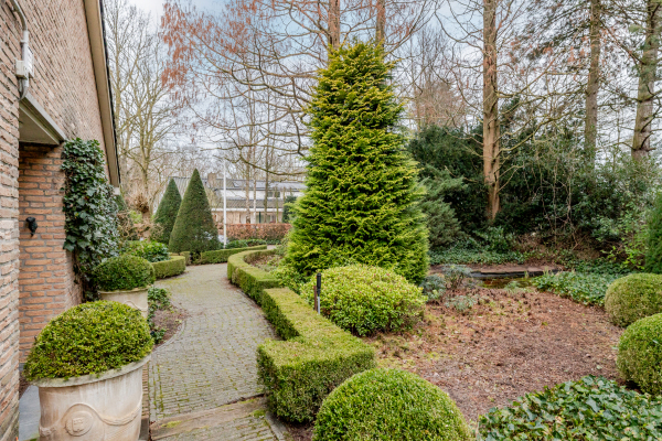 photo 47 Ameroever 64