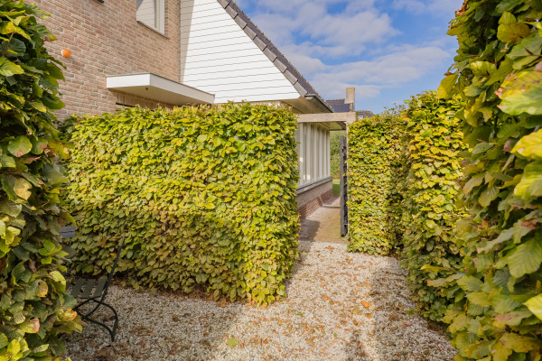 photo 62 Valentijnsingel 16