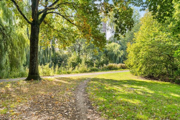 photo 33 Cannenburg 3