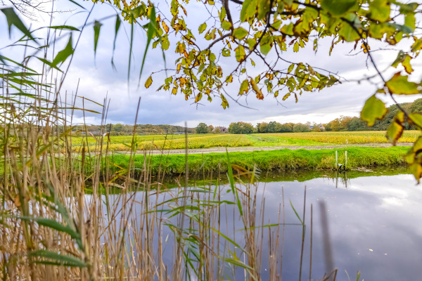 photo 66 Bekslaan 58