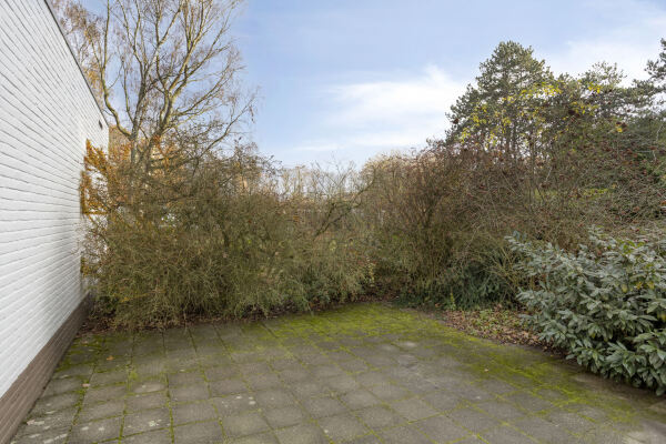 photo 37 Spinolaberg 12