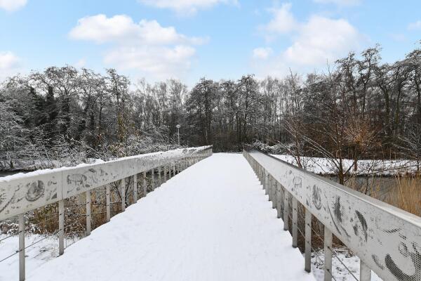 photo 55 Druivenmuur 11