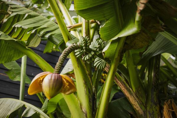 photo 76 Hardermaat 12