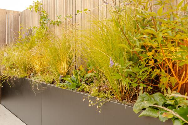 photo 44 Stadionweg 271 3