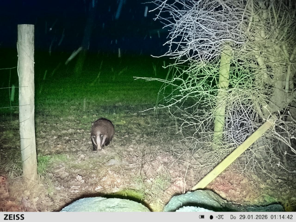 photo 63 Delbuursterweg 25