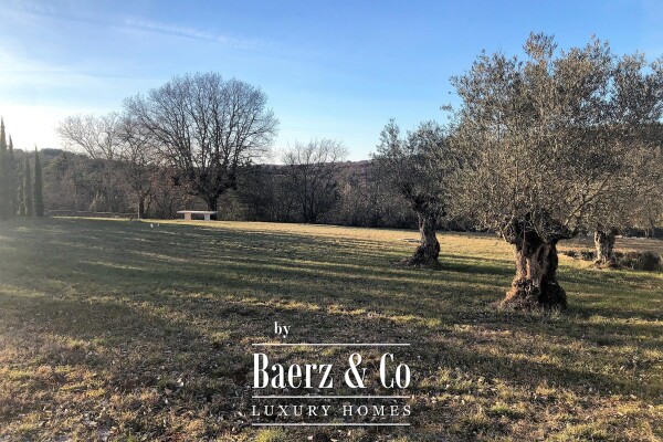 photo 15 Istria, near Grožnjan - Authentic stone estate with a swimming pool and complete privacy