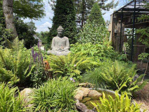 photo 61 Galgendijk 3