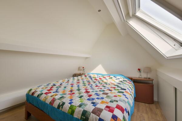 photo 31 Timotheegras 13