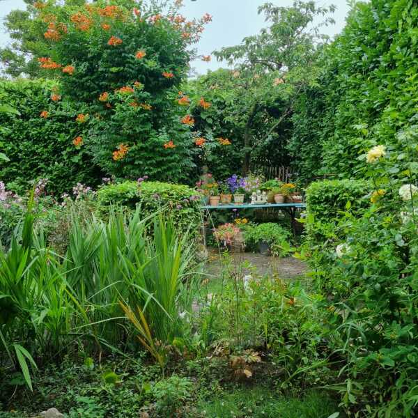 photo 42 Sweelinckplaats 3