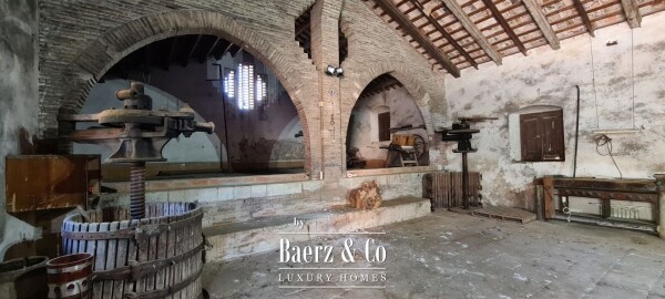 photo 5 Historic Modernist Country House with Vineyard