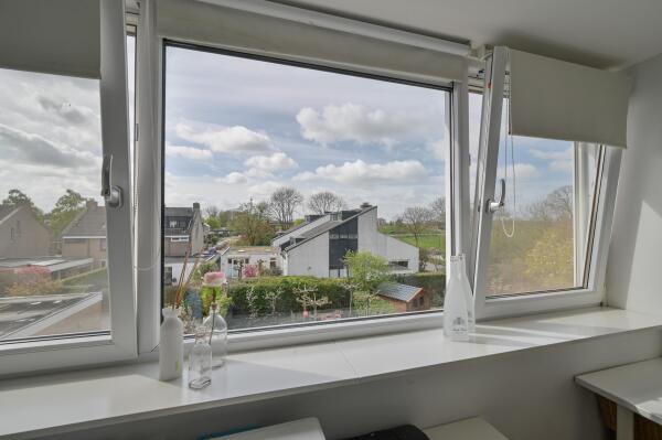 photo 36 Rozenobel 25