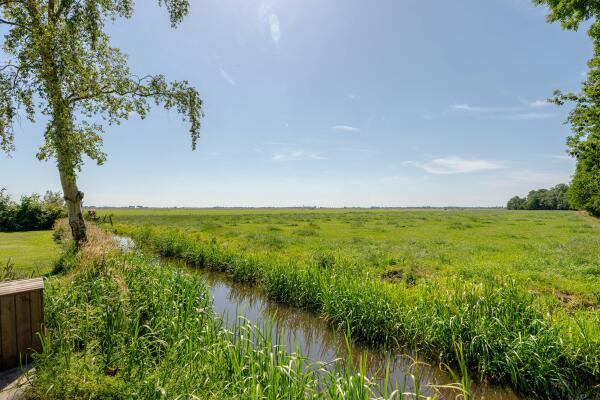 photo 43 Waver 51 A