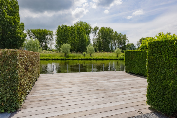 photo 80 Roerdomperf 10