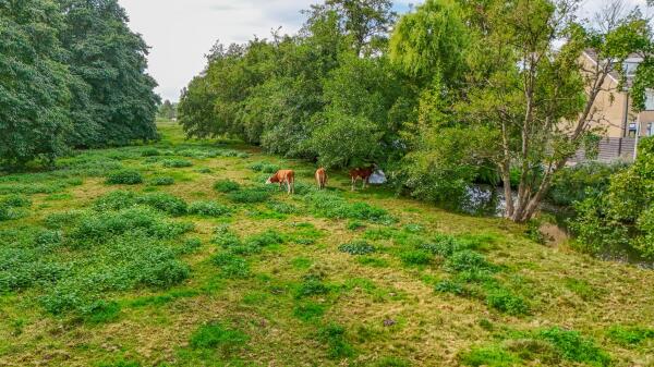 photo 35 Graafkade 9