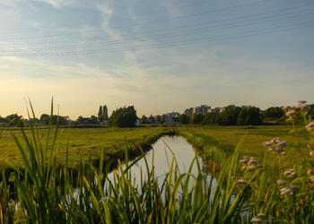 DIEMEN